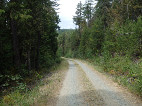 GDMBR, south of Fatty Creek, MT.